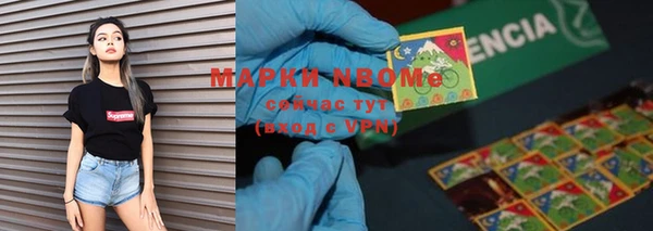 стаф Алзамай