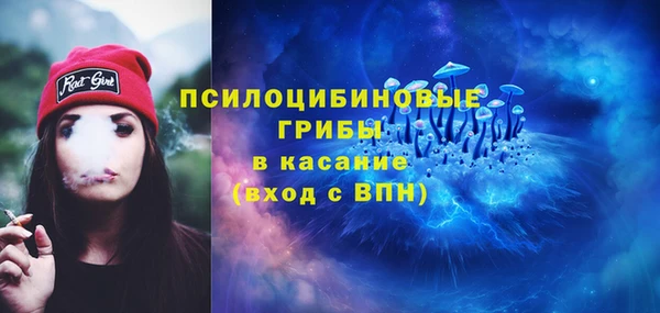 стаф Алзамай