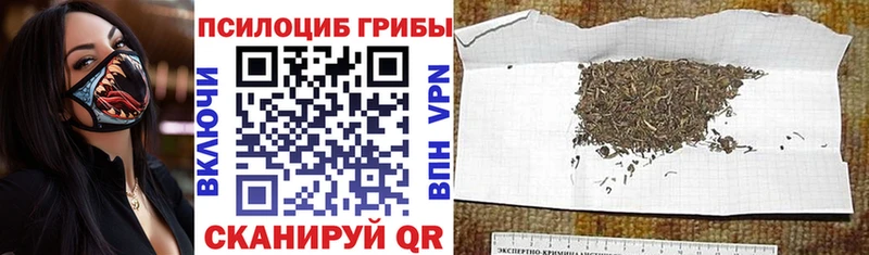 Псилоцибиновые грибы мухоморы  где купить   Северодвинск 