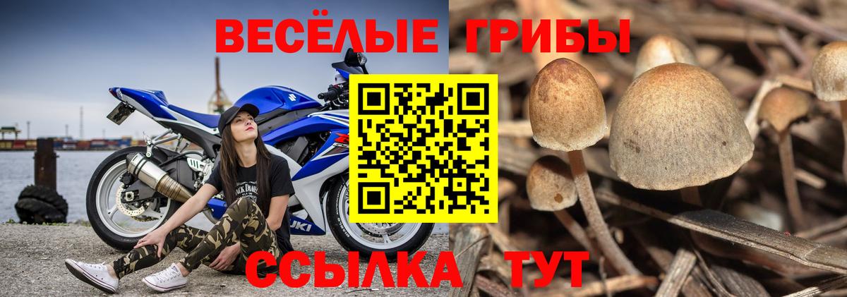 Псилоцибиновые грибы мухоморы  Вход с VPN  наркошоп  Северодвинск 